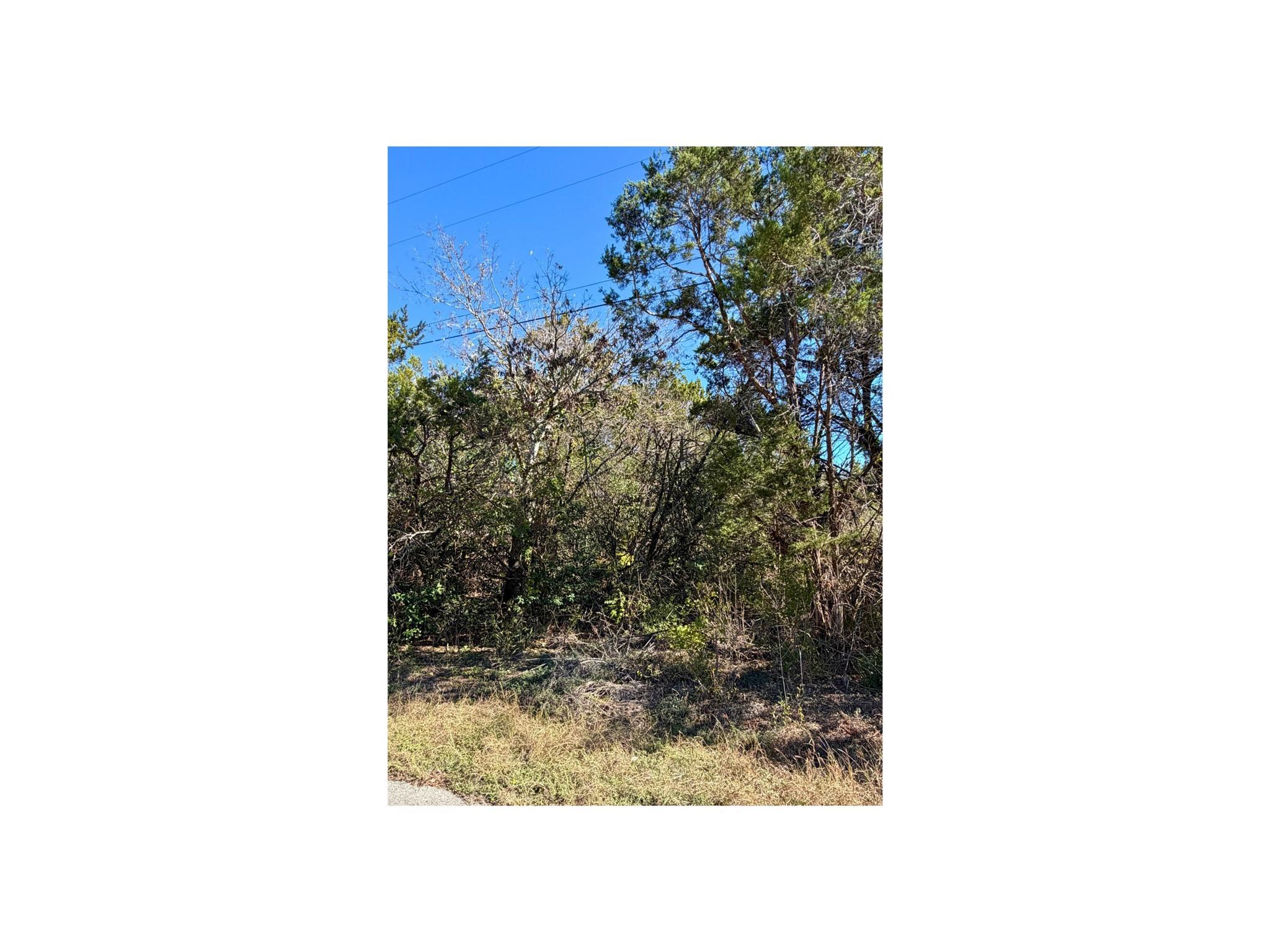 7401 Williamson Creek Drive Austin TX 78736