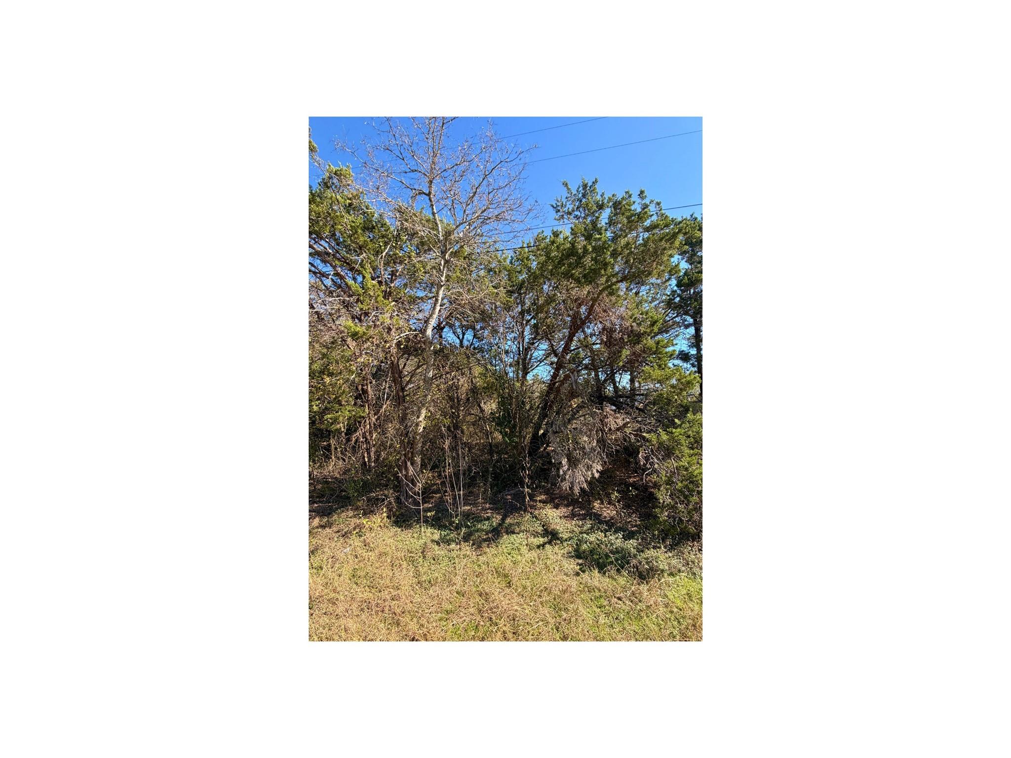 7401 Williamson Creek Drive Austin TX 78736