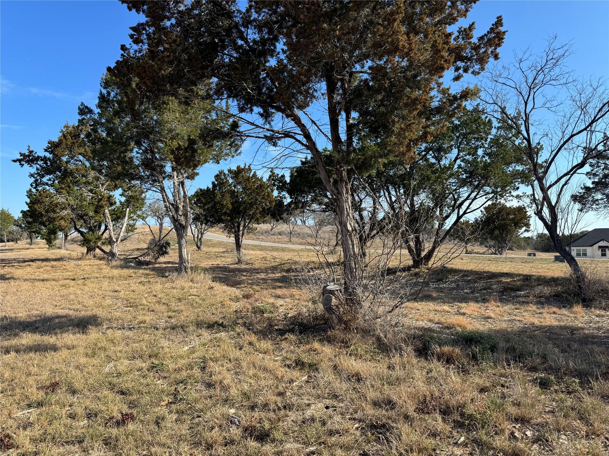 41 Hawthorne Lane Spicewood TX 78669