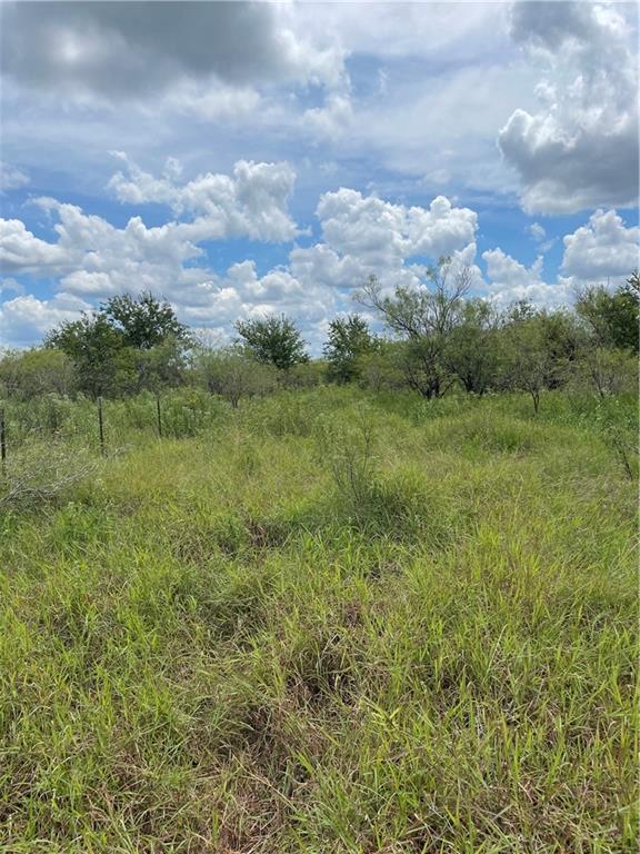 9025 Burklund Farms Road Del Valle TX 78617