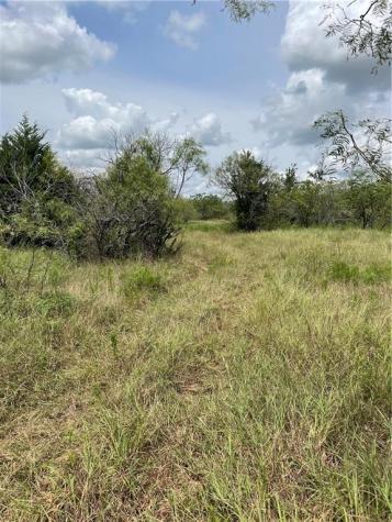 9025 Burklund Farms Road Del Valle TX 78617