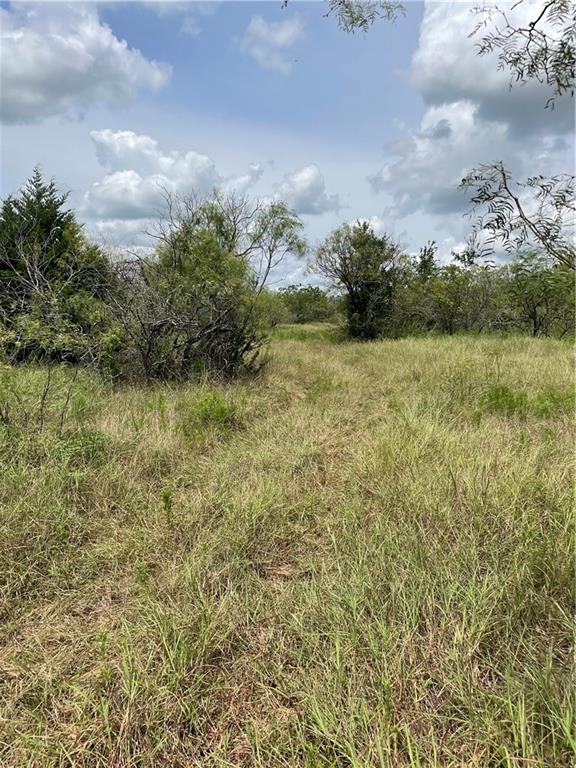 9025 Burklund Farms Road Del Valle TX 78617
