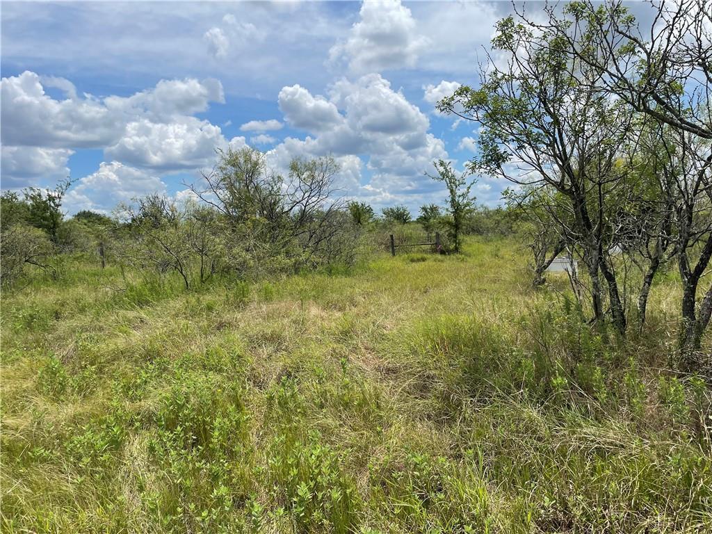 9025 Burklund Farms Road Del Valle TX 78617