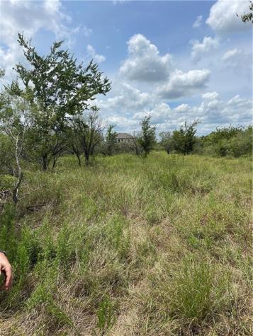 9025 Burklund Farms Road Del Valle TX 78617