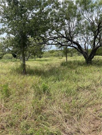 9025 Burklund Farms Road Del Valle TX 78617