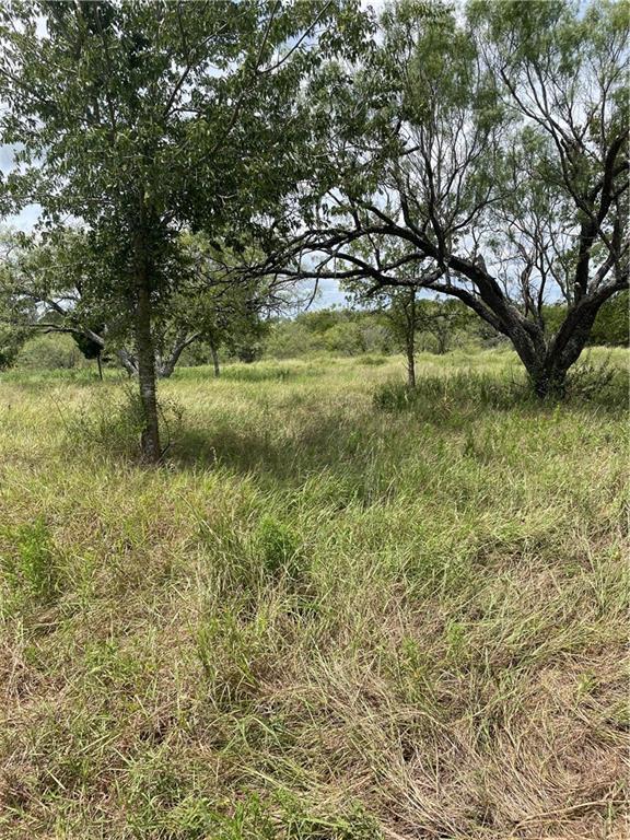 9025 Burklund Farms Road Del Valle TX 78617