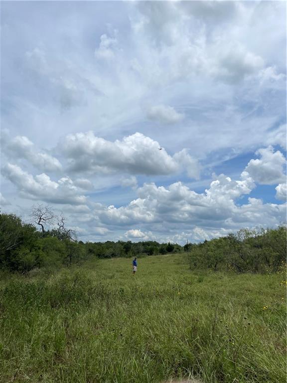 9025 Burklund Farms Road Del Valle TX 78617