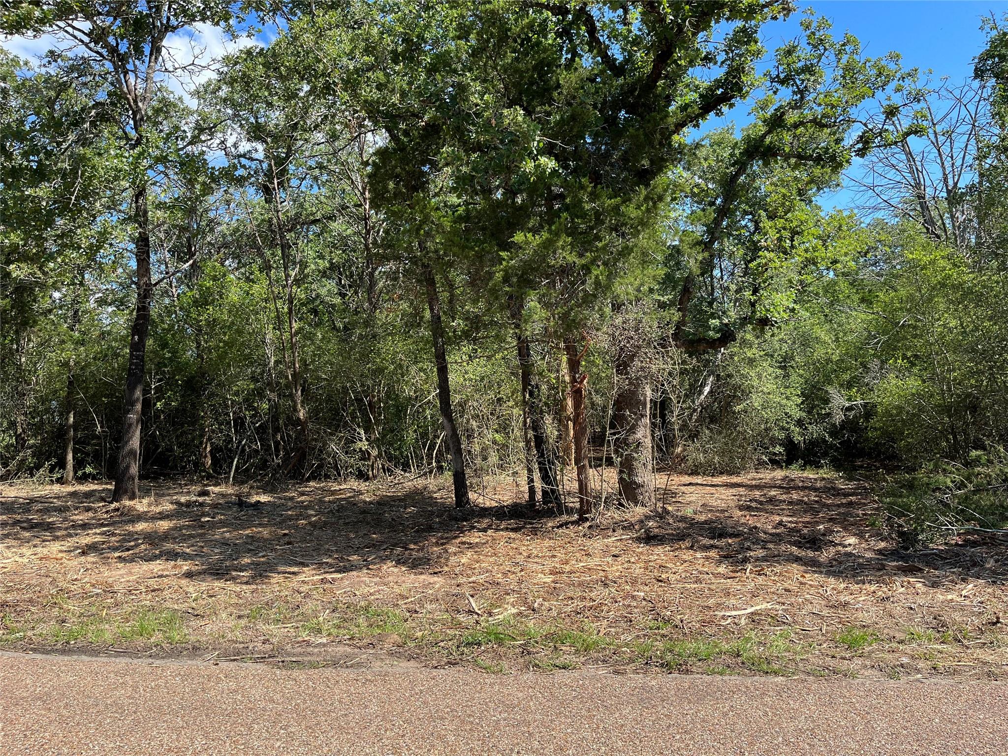 Tbd Old Lockhart Road Plum TX 78952