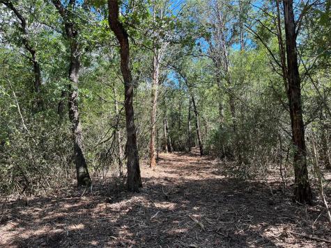 Tbd Old Lockhart Road Plum TX 78952