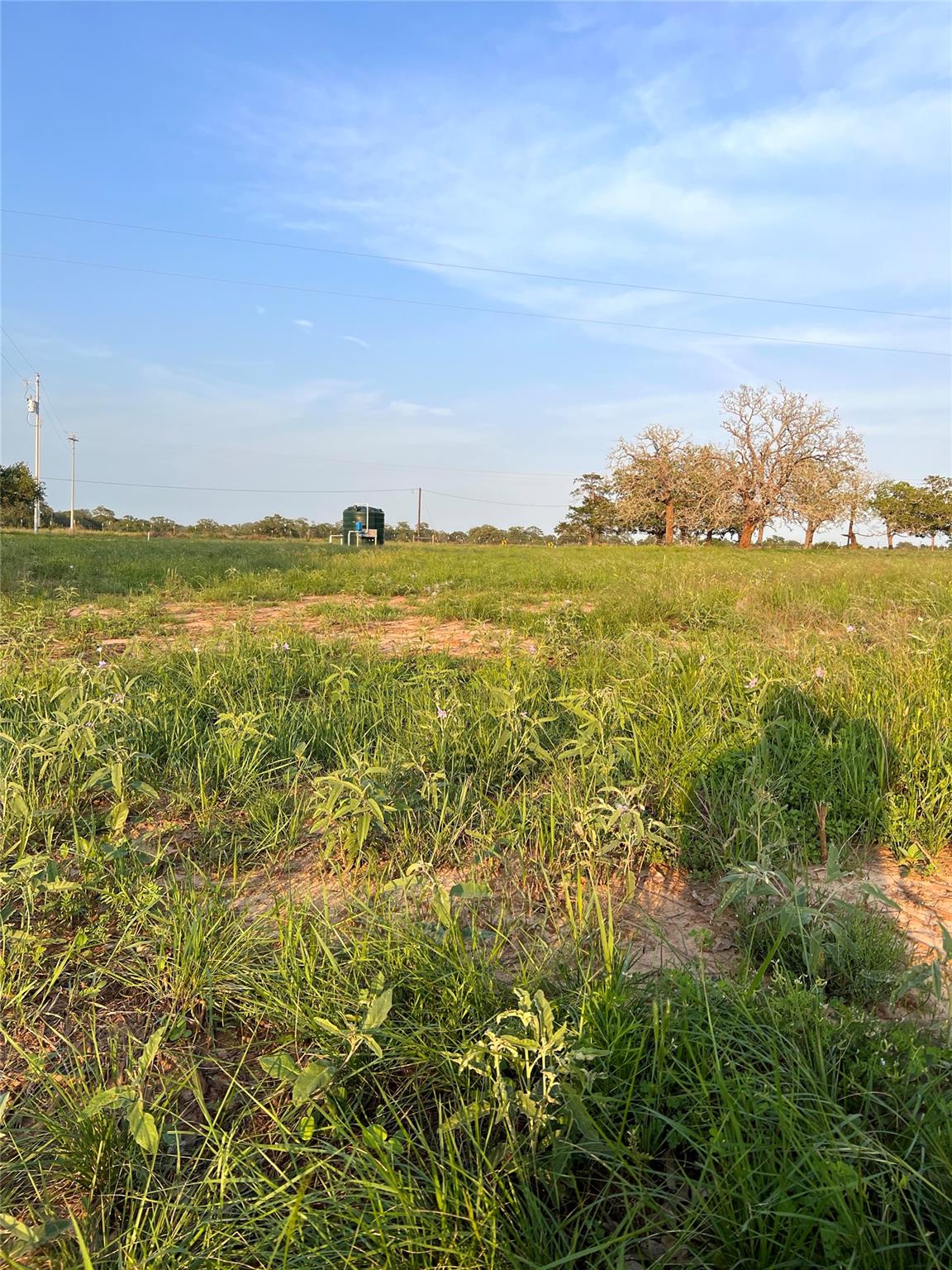 Tbd Lot 9 Cardinal Road Rosanky TX 78953