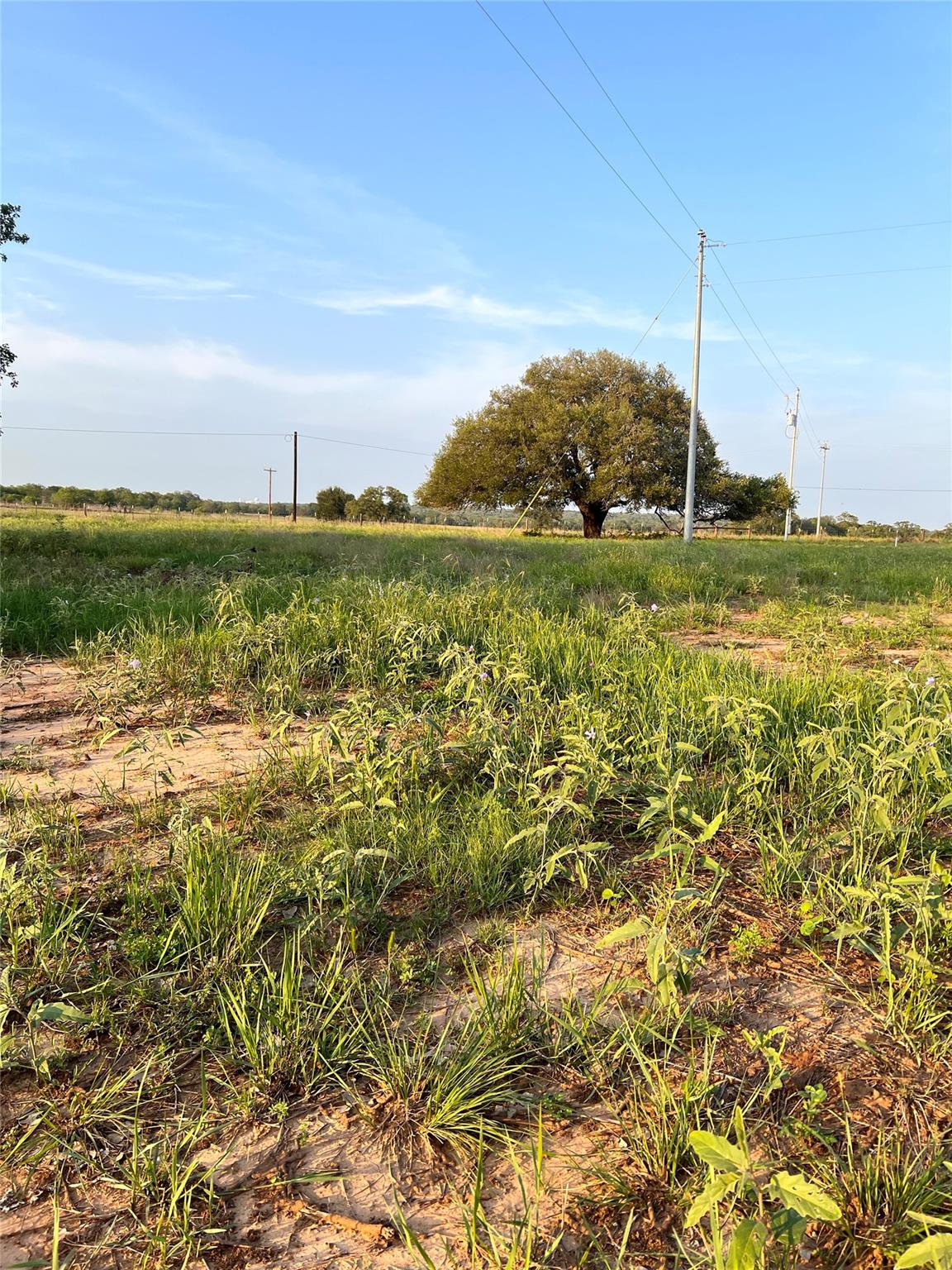 Tbd Lot 9 Cardinal Road Rosanky TX 78953
