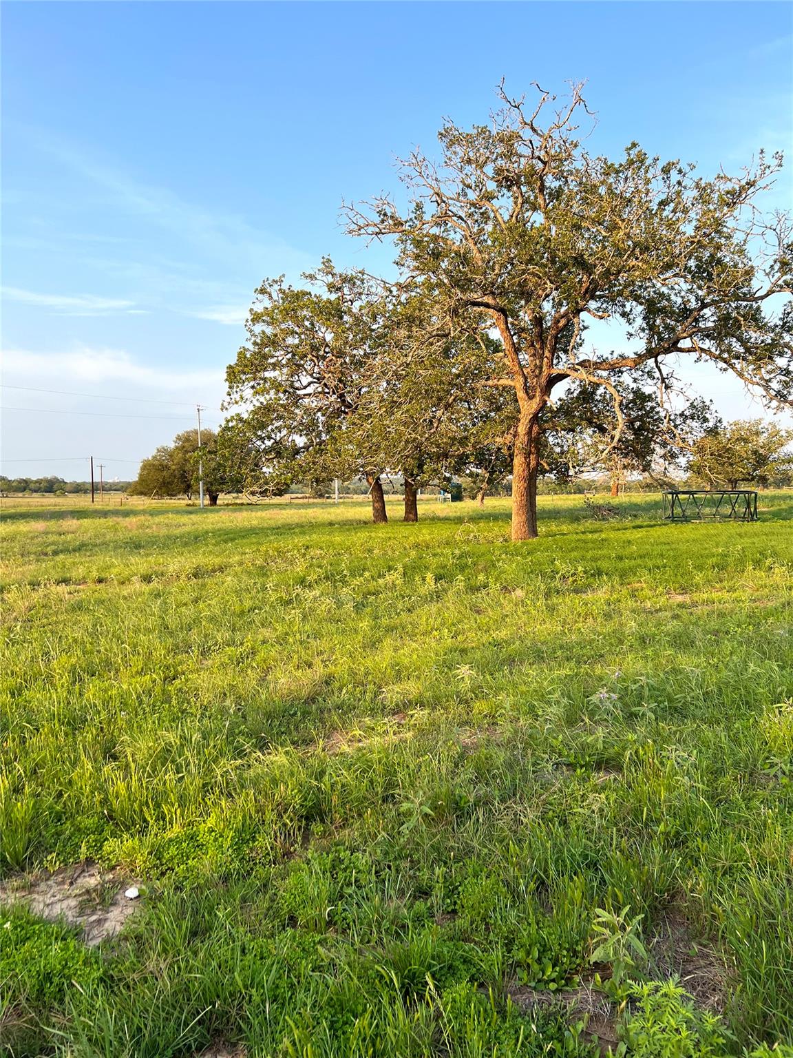 Tbd Lot 9 Cardinal Road Rosanky TX 78953