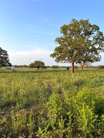 Tbd Lot 9 Cardinal Road Rosanky TX 78953