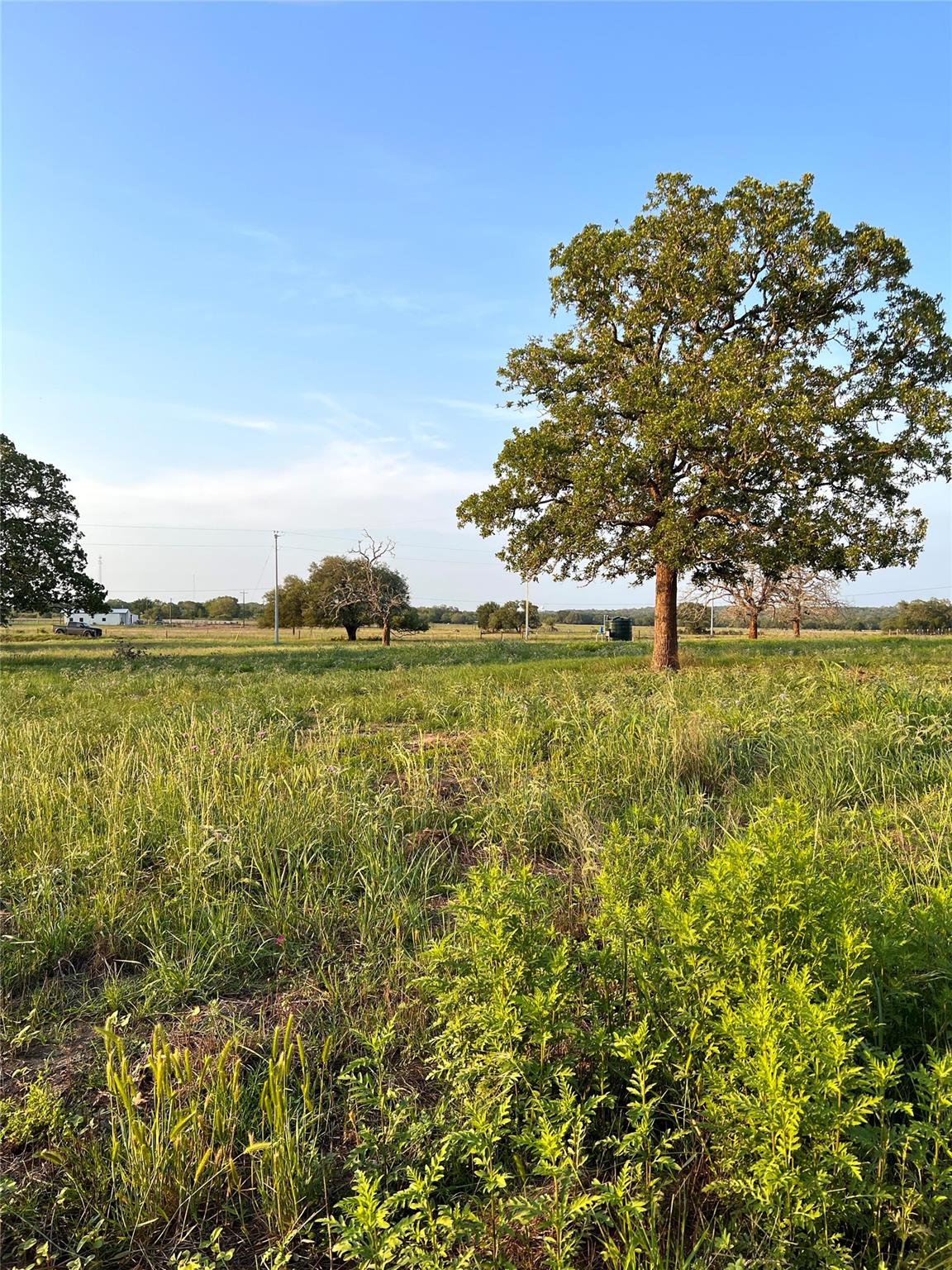 Tbd Lot 9 Cardinal Road Rosanky TX 78953