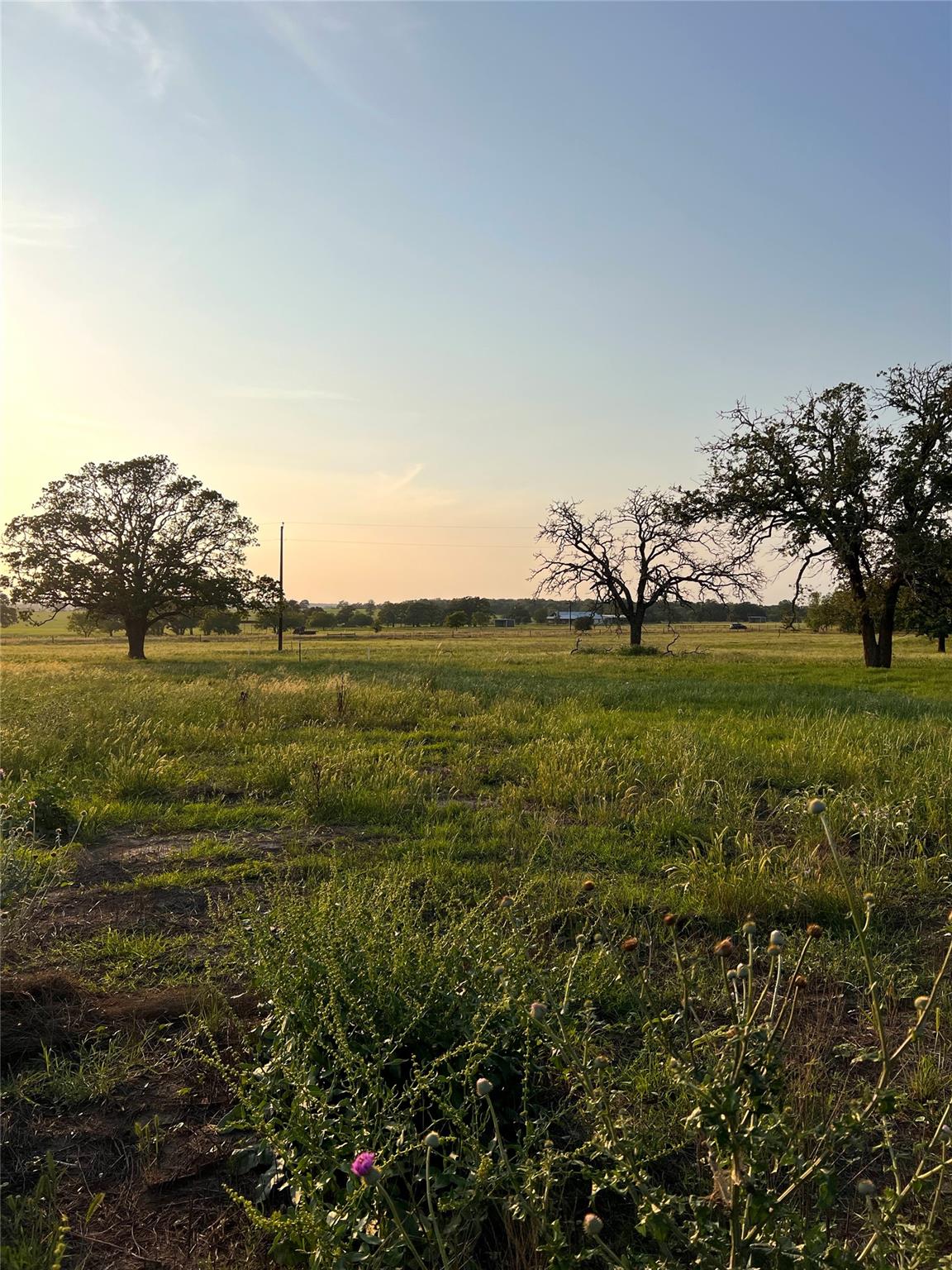 Tbd Lot 9 Cardinal Road Rosanky TX 78953