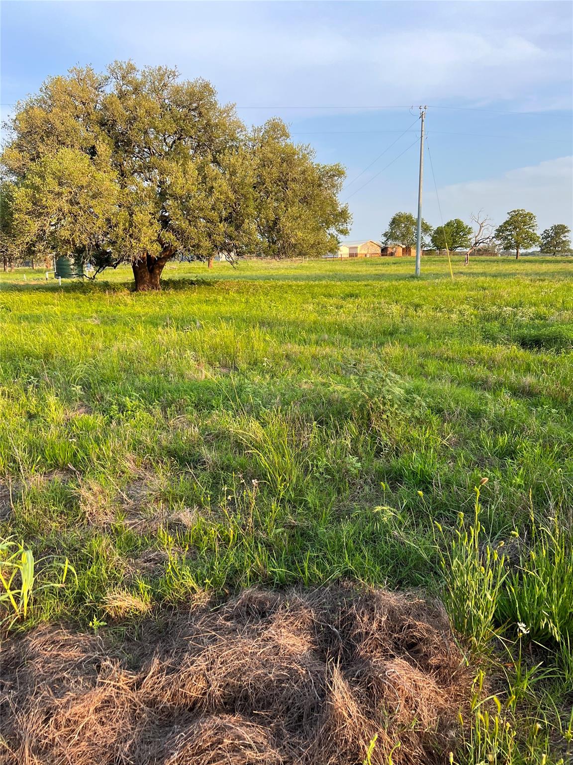 Tbd Lot 9 Cardinal Road Rosanky TX 78953