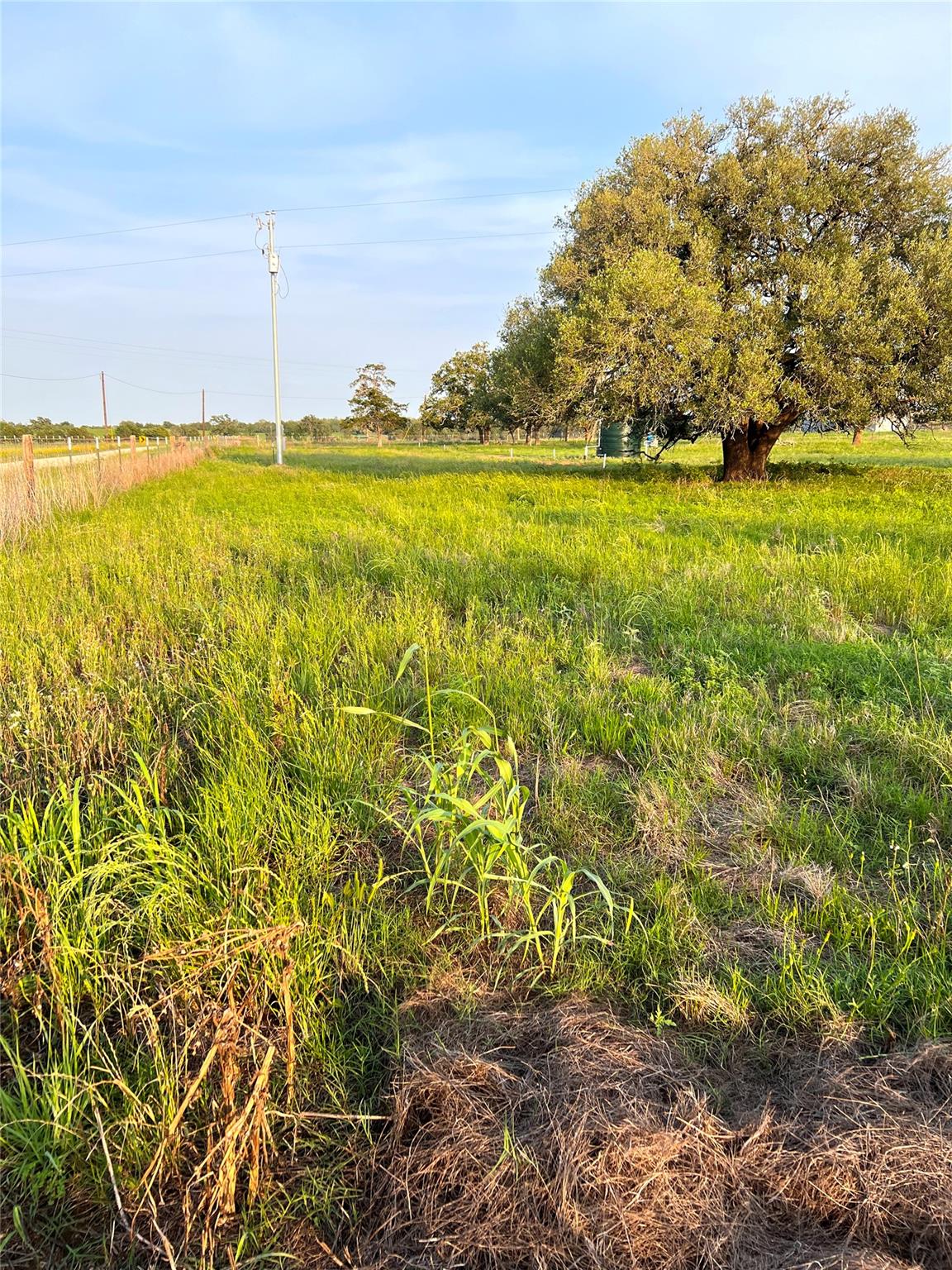 Tbd Lot 9 Cardinal Road Rosanky TX 78953