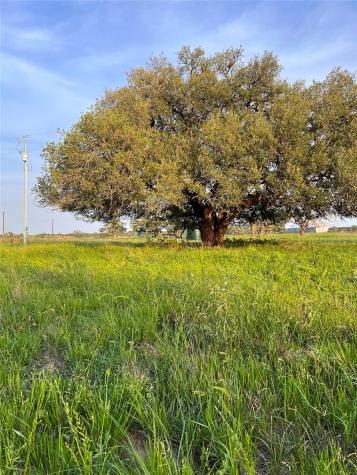 Tbd Lot 9 Cardinal Road Rosanky TX 78953