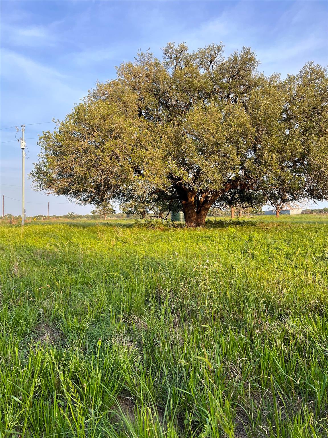 Tbd Lot 9 Cardinal Road Rosanky TX 78953
