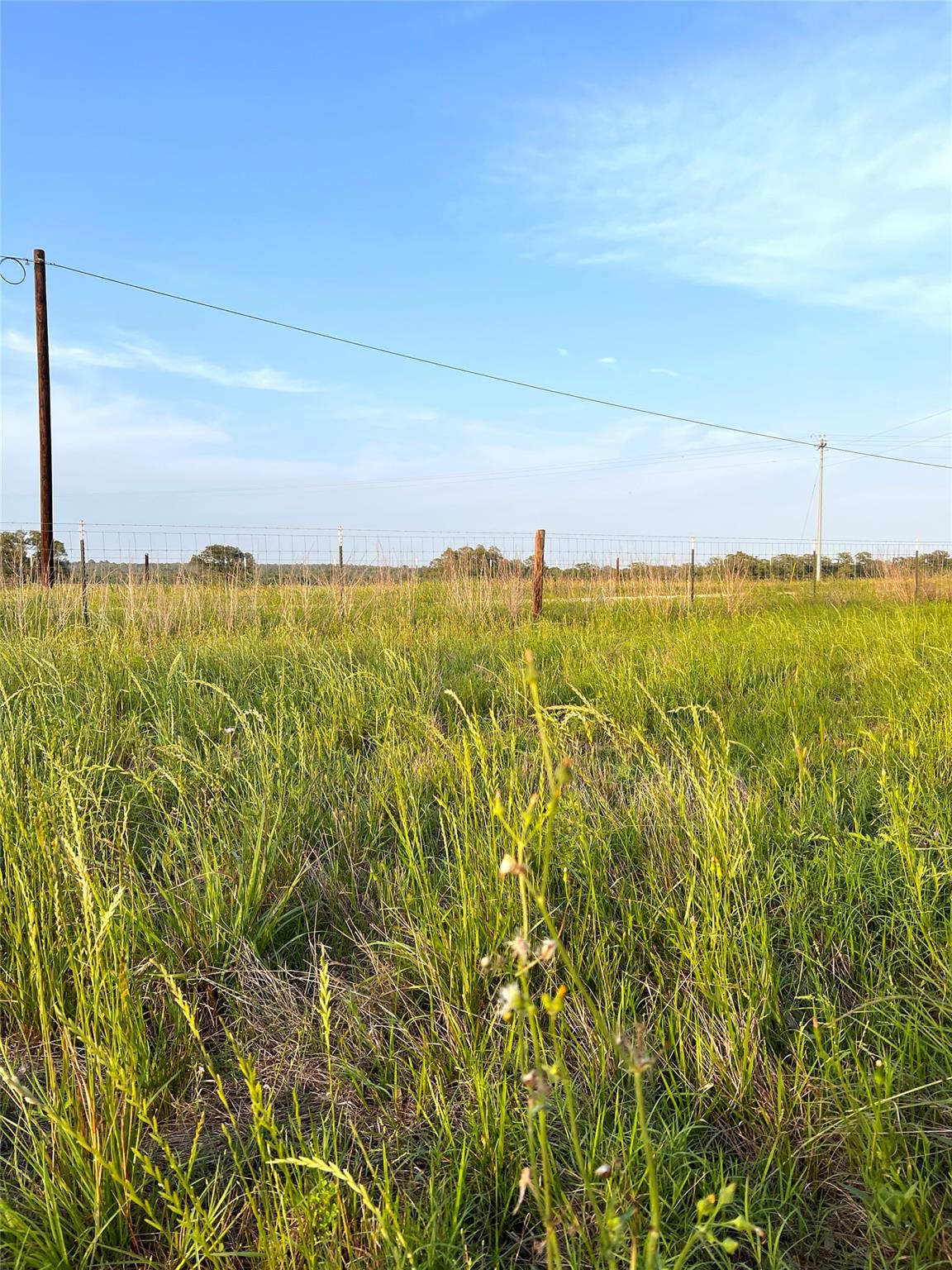 Tbd Lot 9 Cardinal Road Rosanky TX 78953
