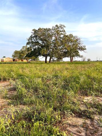 Tbd Lot 9 Cardinal Road Rosanky TX 78953