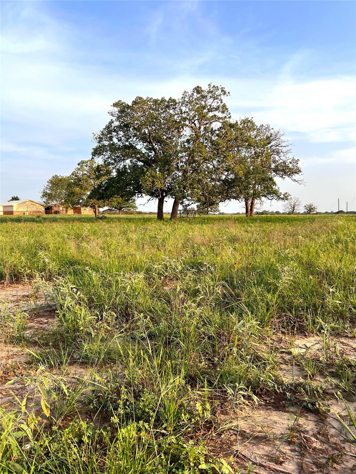 Tbd Lot 9 Cardinal Road Rosanky TX 78953