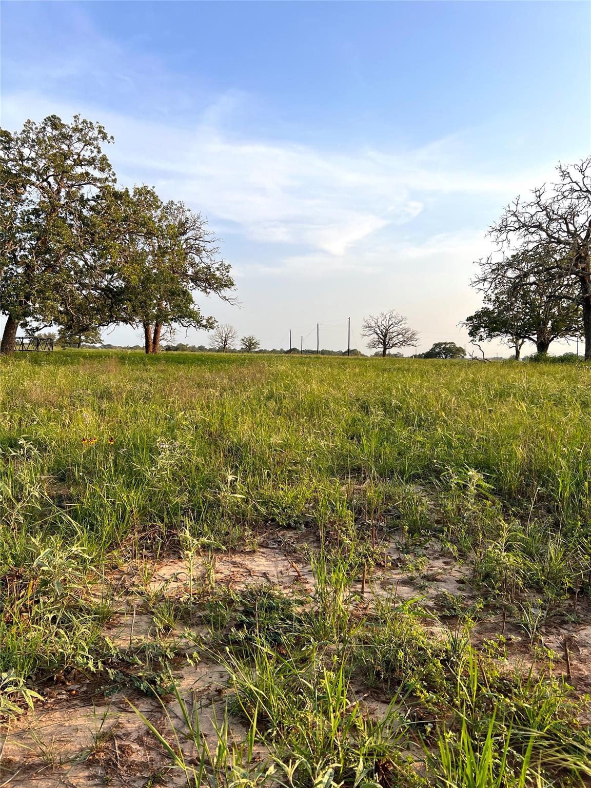 Tbd Lot 9 Cardinal Road Rosanky TX 78953