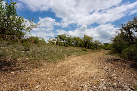 523 Dario Drive Dripping Springs TX 78620
