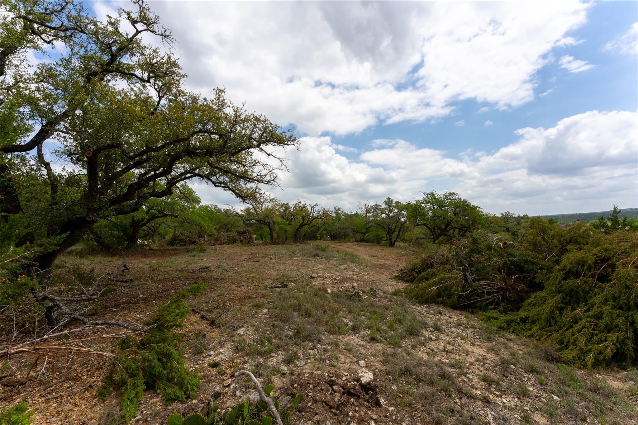 523 Dario Drive Dripping Springs TX 78620