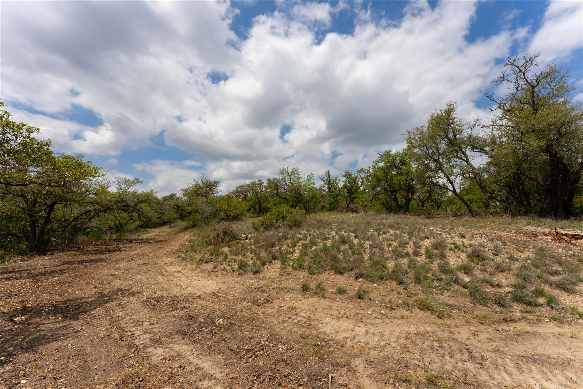 523 Dario Drive Dripping Springs TX 78620