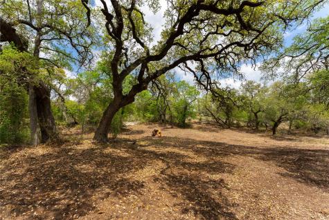 523 Dario Drive Dripping Springs TX 78620