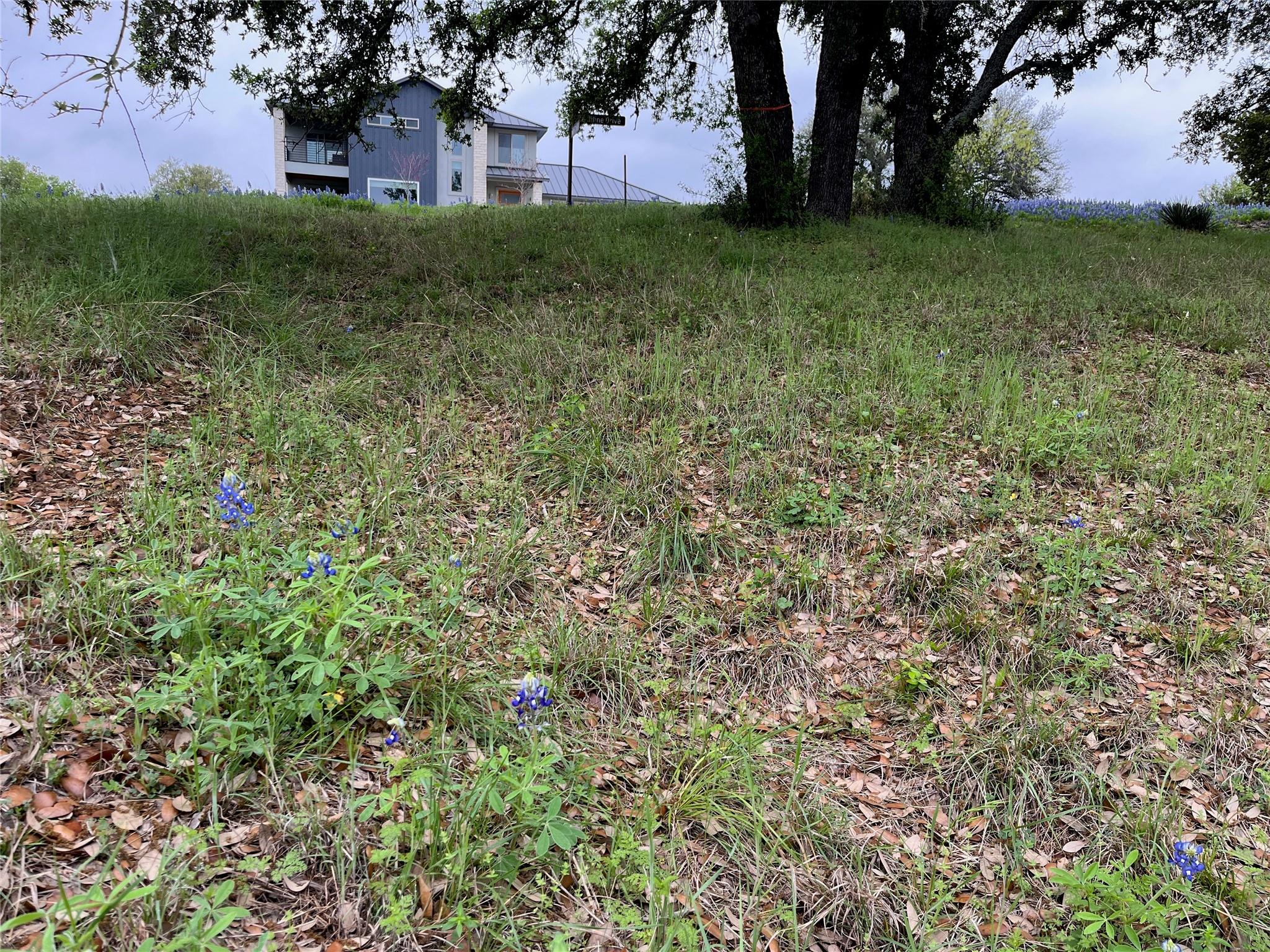 Lot W18100 Moon Cloud/fault Line Horseshoe Bay TX 78639