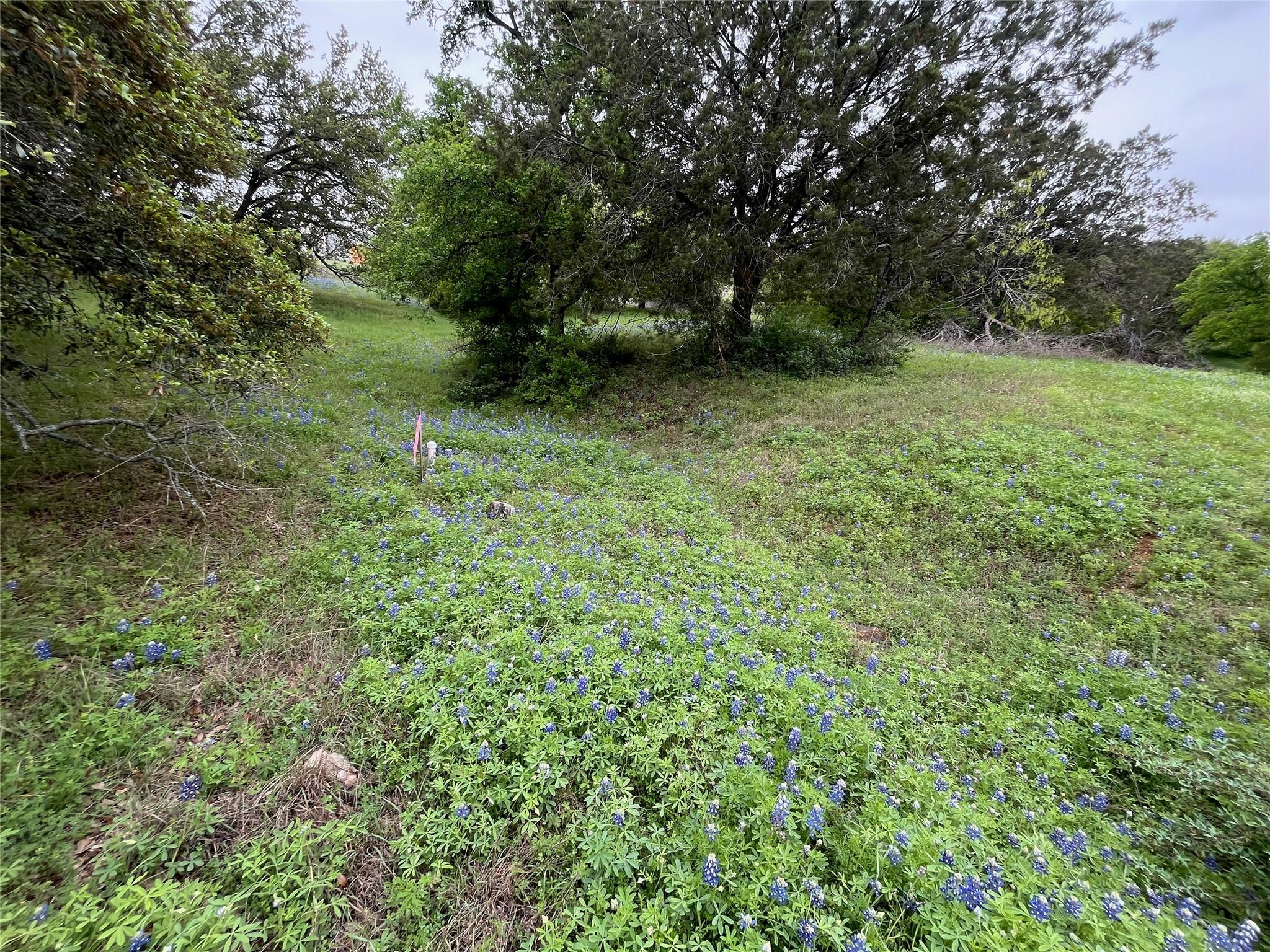 Lot W18100 Moon Cloud/fault Line Horseshoe Bay TX 78639
