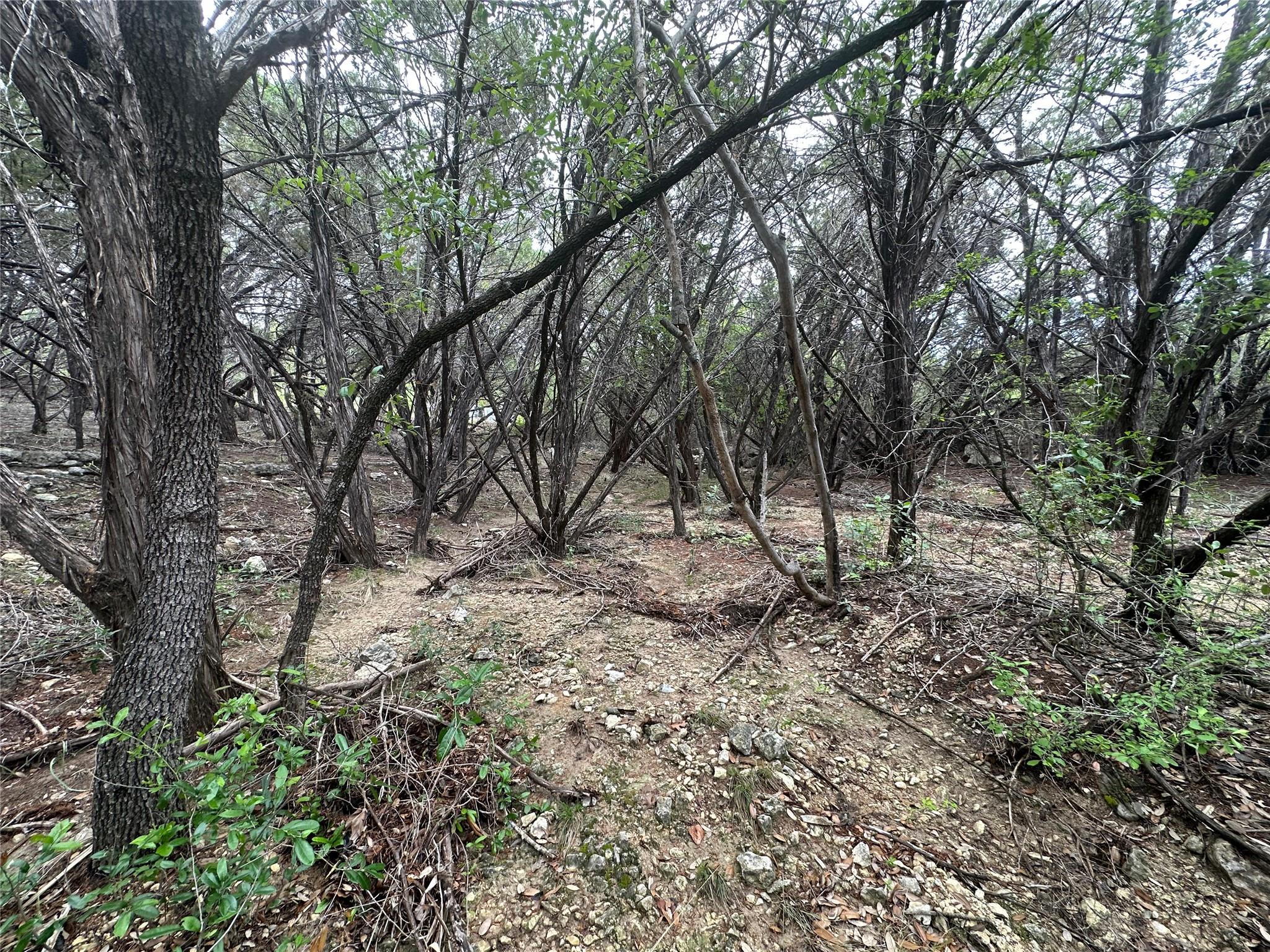 8300 Chestnut Cove Leander TX 78645