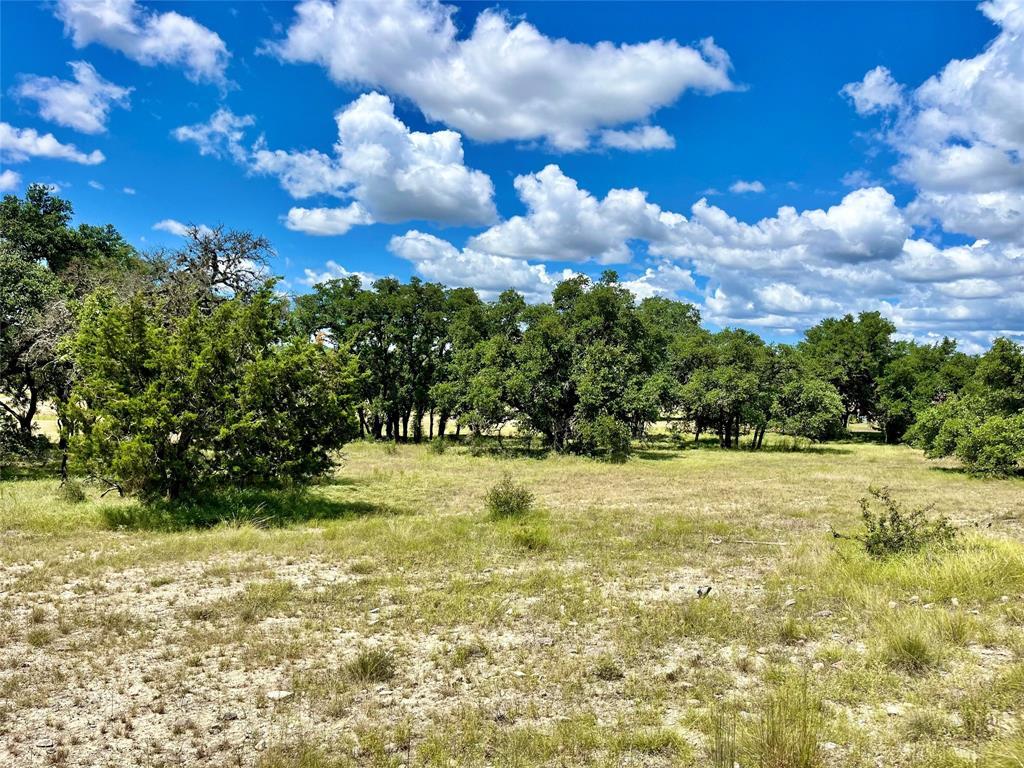 428 Summit Spring Lane Johnson City TX 78636