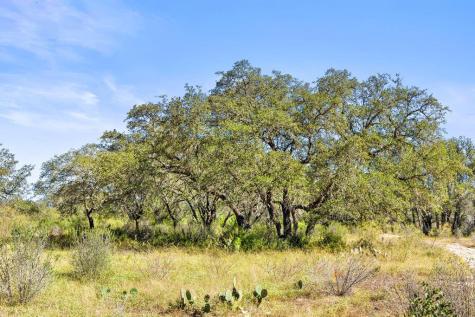 Tbd Pedernales Canyon Spicewood TX 78669