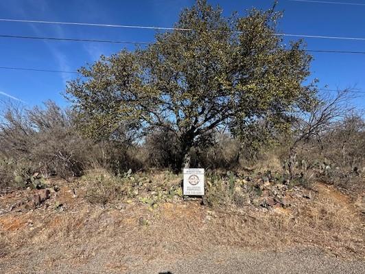 0 Tbd Cedar Drive Granite Shoals TX 78654