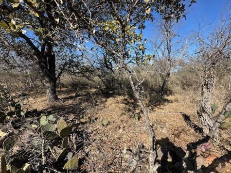 0 Tbd Cedar Drive Granite Shoals TX 78654