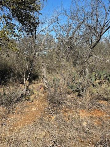 0 Tbd Cedar Drive Granite Shoals TX 78654