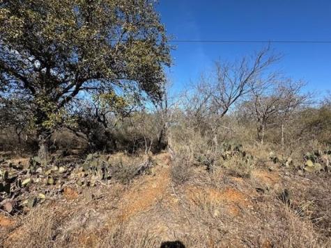 0 Tbd Cedar Drive Granite Shoals TX 78654