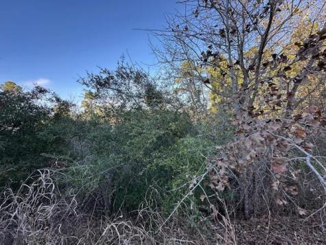 0 Tbd Cedar Drive Granite Shoals TX 78654
