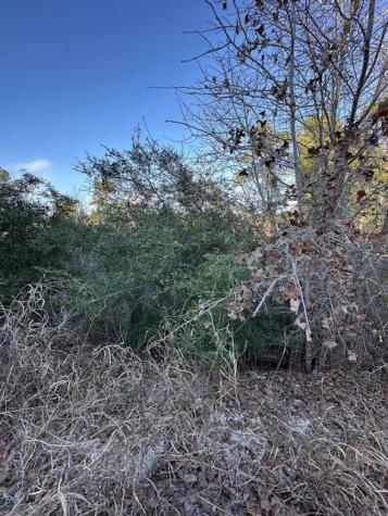 0 Tbd Cedar Drive Granite Shoals TX 78654