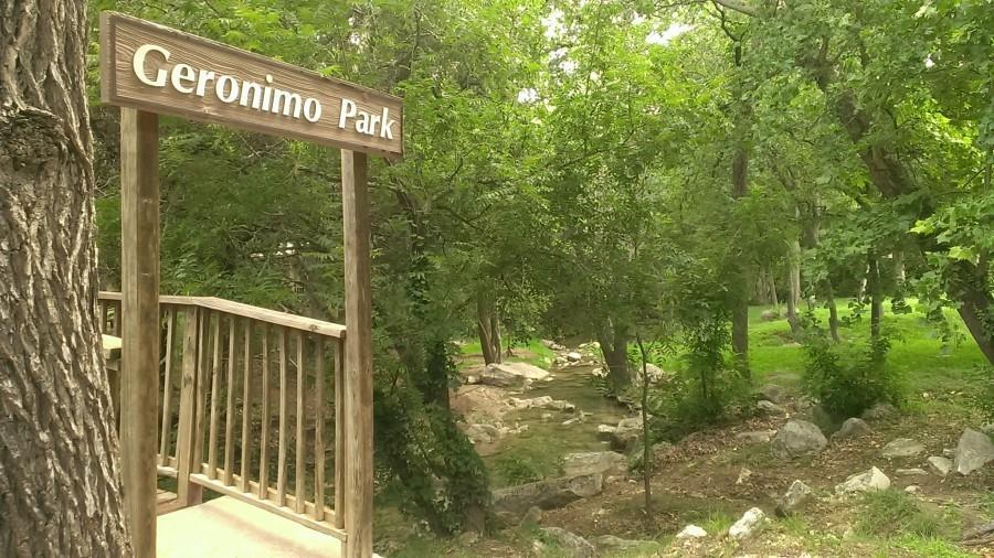 14703 Great Eagle Trail Austin TX 78734