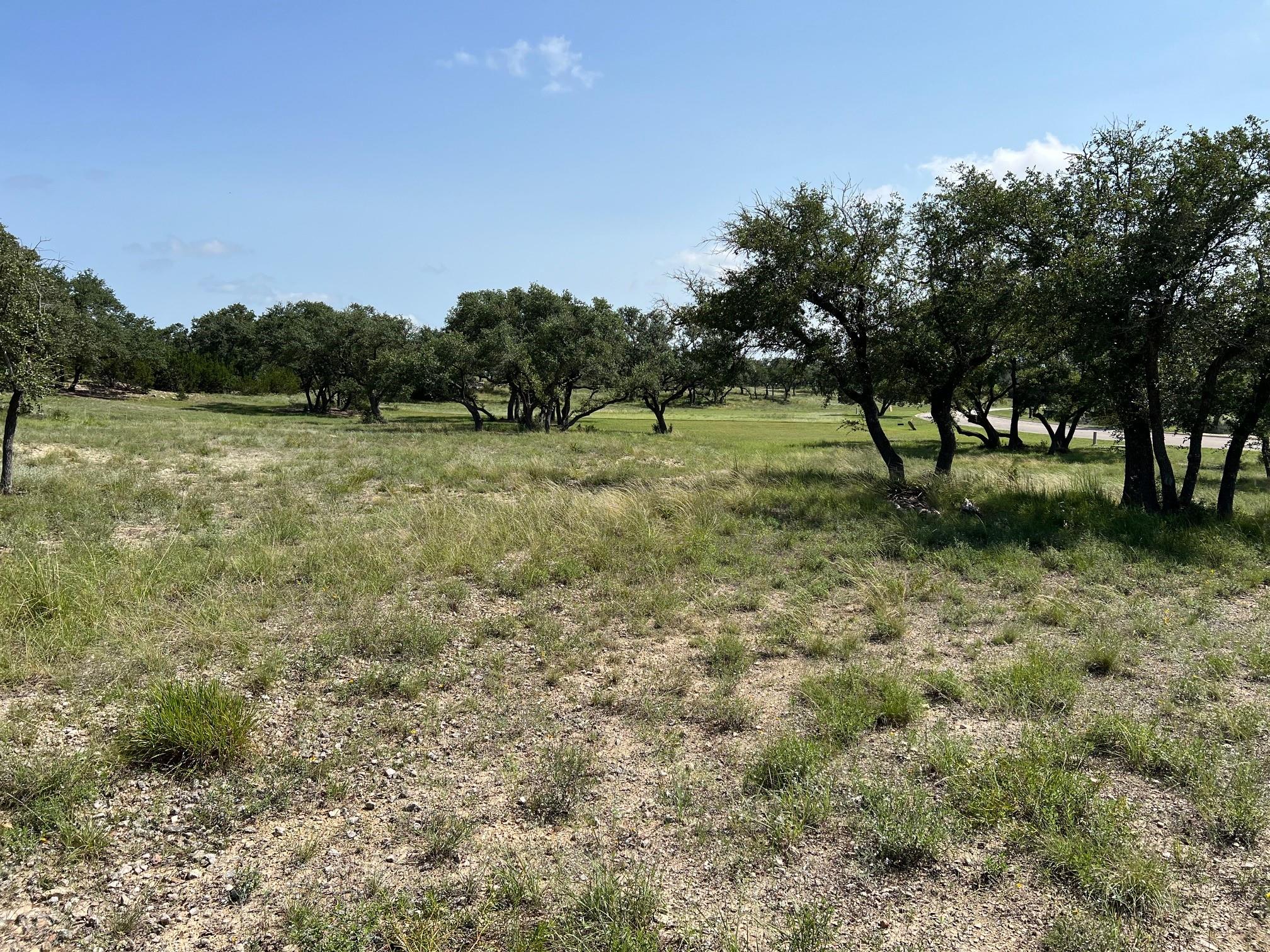1145 Brads Flight Canyon Lake TX 78133