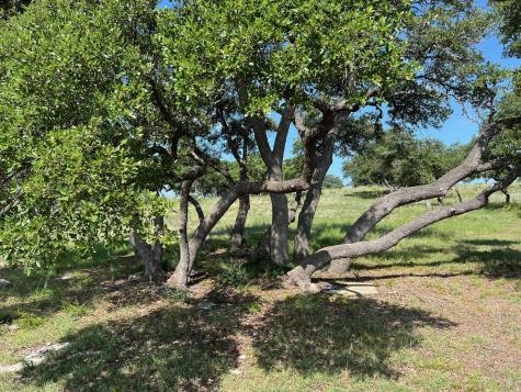 1145 Brads Flight Canyon Lake TX 78133