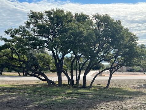 1145 Brads Flight Canyon Lake TX 78133
