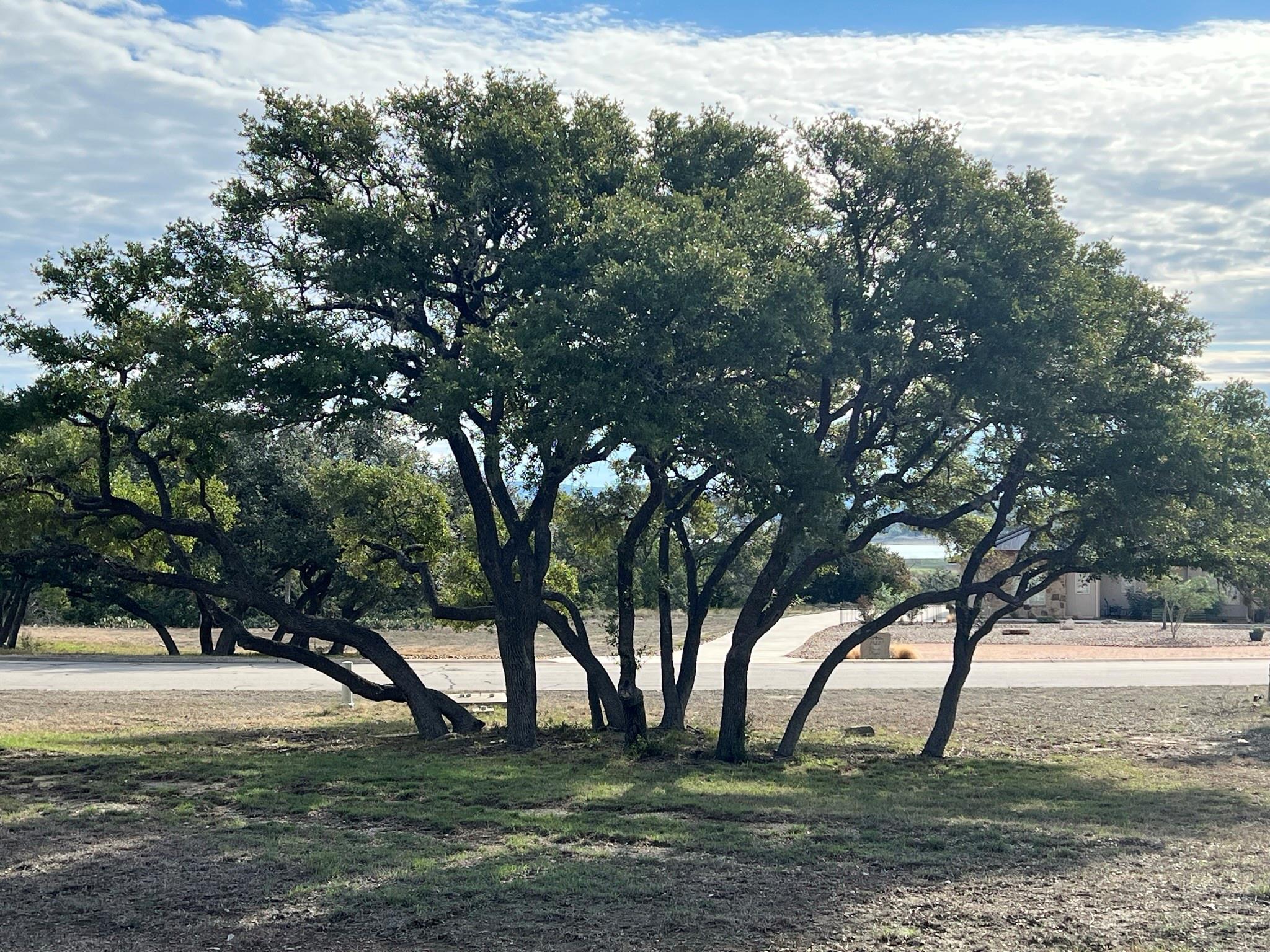 1145 Brads Flight Canyon Lake TX 78133