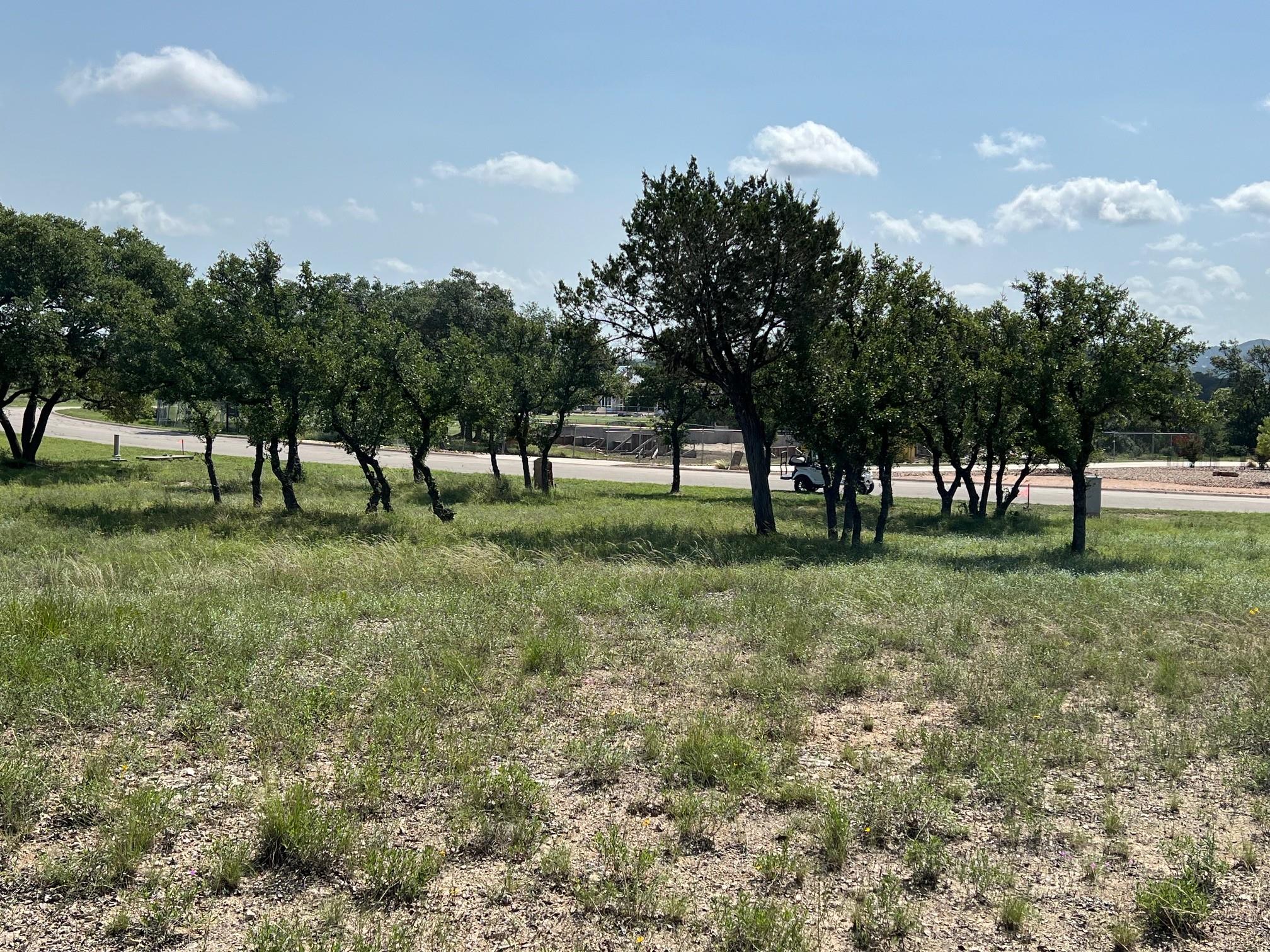 1145 Brads Flight Canyon Lake TX 78133