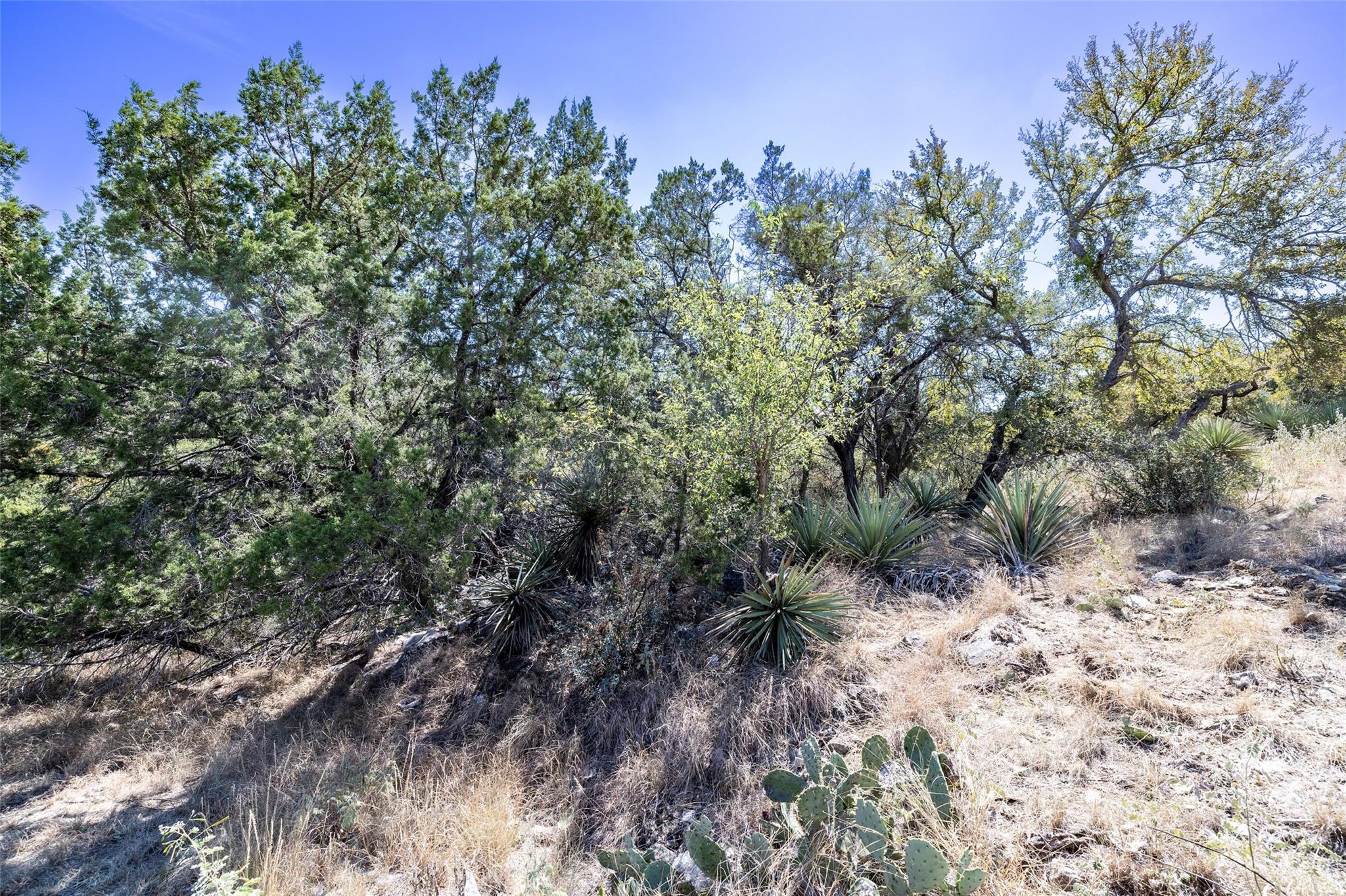 705 Fallow Horseshoe Bay TX 78657
