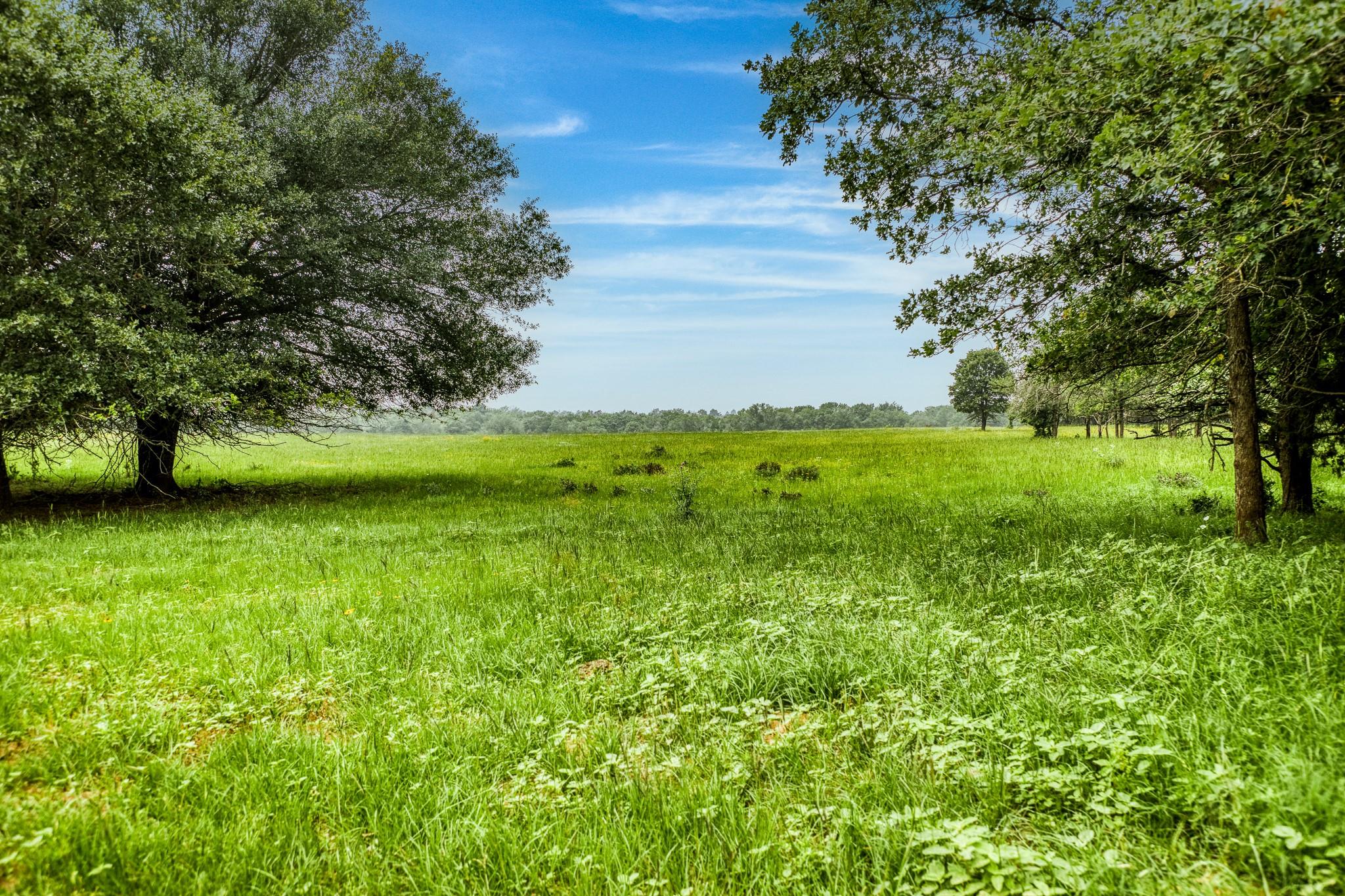 10610 Cr 322 Caldwell TX 77836